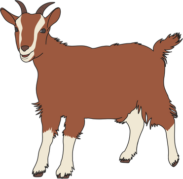 brown goat illustration